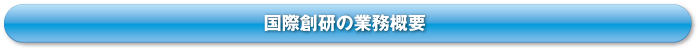 国際創研の業務概要