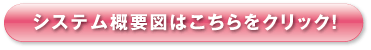 システム概要図はこちらをクリック